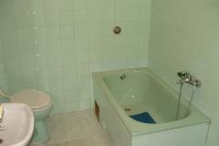 Apartmaji Ankica Apartma 1 – A1 foto 5