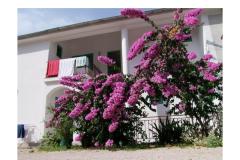 Apartmaji Ive Soba 5 – br5 foto 4