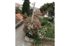 Apartmaji Gogi Apartma 4 – A4 foto 3