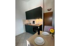 Apartmaji Jelica Apartma 1 – A1 foto 5