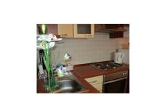 Apartmaji Zubak Apartma 1 – Lipica foto 5