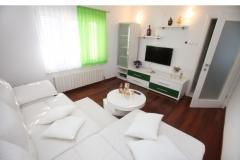 Apartmaji Noa Apartma 1 – Big app foto 3