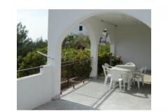 Apartmaji Neda Apartma 1 – A1 foto 2