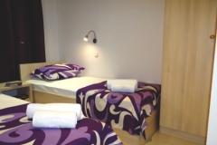 Apartmaji Zora Apartma 4 – AP-8 foto 3