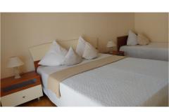 Vila Jelica Apartma 2 – APARTMAN 2 foto 5