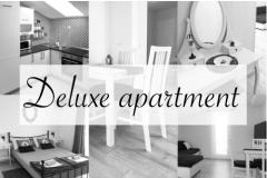 Logos Apartma 1 – Delux foto 1