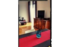Lu-Do Apartmaji Apartma 1 – One foto 5