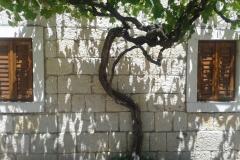 Stara kuća Apartma 1 – Stara kuća foto 2