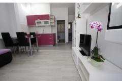 Apartmaji Turić Apartma 3 – APP 2+2 foto 2
