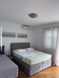 Apartmaji Zane Apartma 1 – A1 foto 2