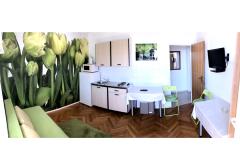 Apartmaji Zane Apartma 1 – A1 foto 3