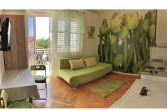 Apartmaji Zane Apartma 1 – A1 foto 5