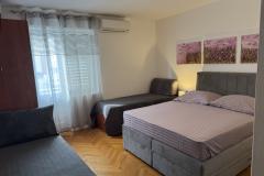 Apartmaji Zane Apartma 2 – A2 foto 4