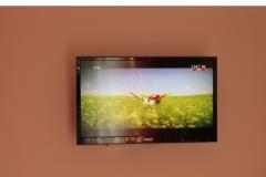 Apartmaji Love Tučepi Apartma 3 – NARANČASTI foto 5