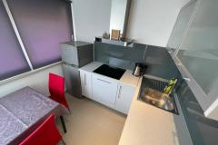 Apartmaji Vesna - Hiša Covic Apartma 4 – A2 foto 4