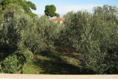 Apartmaji Ante Apartma 1 – A1 foto 5
