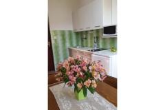Apartmaji Branko Vidaković Apartma 4 – Apartman 4 foto 4
