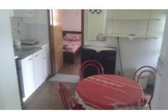 Apartmaji Kus Apartma 1 – A1 foto 4