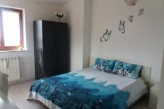 Apartmaji Jana Apartma 1 – APP1 foto 4
