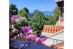 Apartmaji Delfin Apartma 1 – 1.kat foto 1