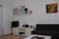 Apartmaji otok Vir Apartma 2 – A2 foto 5