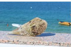 Apartmaji Por Apartma 2 – Dvosobni foto 2