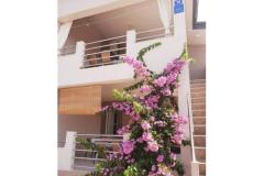 Apartmaji Maja Apartma 1 – A2 foto 1