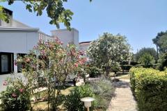 Apartmaji Budija / Lavanda Apartma 1 – Lavanda 1 foto 2
