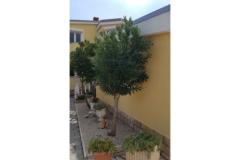 Ferienanlage Villa Ljiljana Apartma 2 – Bungalow foto 2