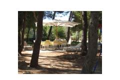 Apartmaji Liveric Apartma 4 – APARTMAN D foto 3