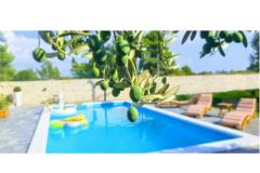 Villa Dora Apartma 1 – Villa Dora foto 1