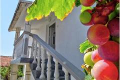 Zoka Apartma 3 – DACA-A2 foto 4
