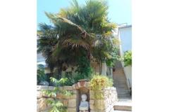 Apartma Gita -Ston Hiša Apartma 1 – Gita foto 2