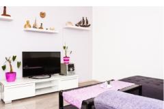 Apartmaji Ines Apartma 1 – App2+1 foto 2