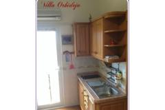 Villa Orhideja Apartma 4: (2+0) – Apart 8 foto 2
