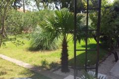 Apartma Korina Apartma 1 foto 5