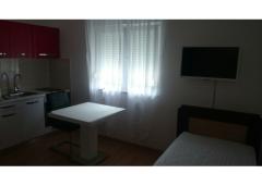 Apartmaji BBa Apartma 3 – Apartman3 foto 5