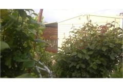 Apartmaji DANI Apartma 1 – HomeM. M4 foto 5