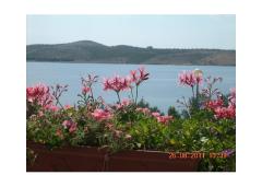 Apartmaji Lora Apartma 2: (2+2) – A2 foto 1