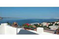 Apartmaji Miocic Apartma 3 – Studio foto 1