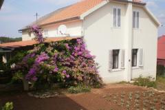 Hiša Branka Apartma 1 – Kuća foto 1