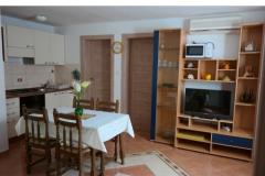 Apartmaji Biskup Apartma 1 – Groundfloo foto 5