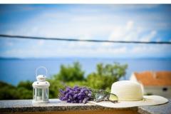 Villa IBIS Apartma 3 – Ap3 foto 1