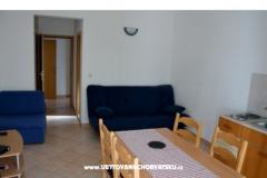 Apartmaji Anita Apartma 2 – South-east foto 1