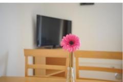 Appartement Graf Apartma 3 – Ap 2+3 foto 4