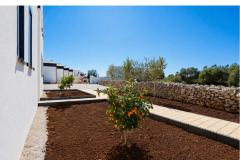 Dalma Park Apartma 1 – Natura Lux foto 3