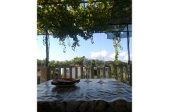 Apartmaji Dullina Apartma 1 – Apartman 1 foto 5