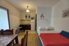 Apartmaji Z&amp;Z Apartma 3 – A1 foto 1