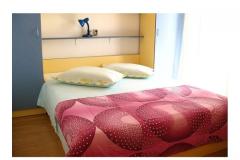 Apartmaji LM Apartma 4 – A4 foto 1