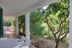 Apartmay Nevescanin Apartma 1 – App 1 foto 5